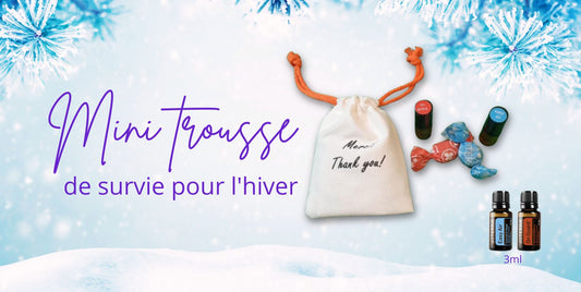 Mini Trousse de Survie pour l'Hiver