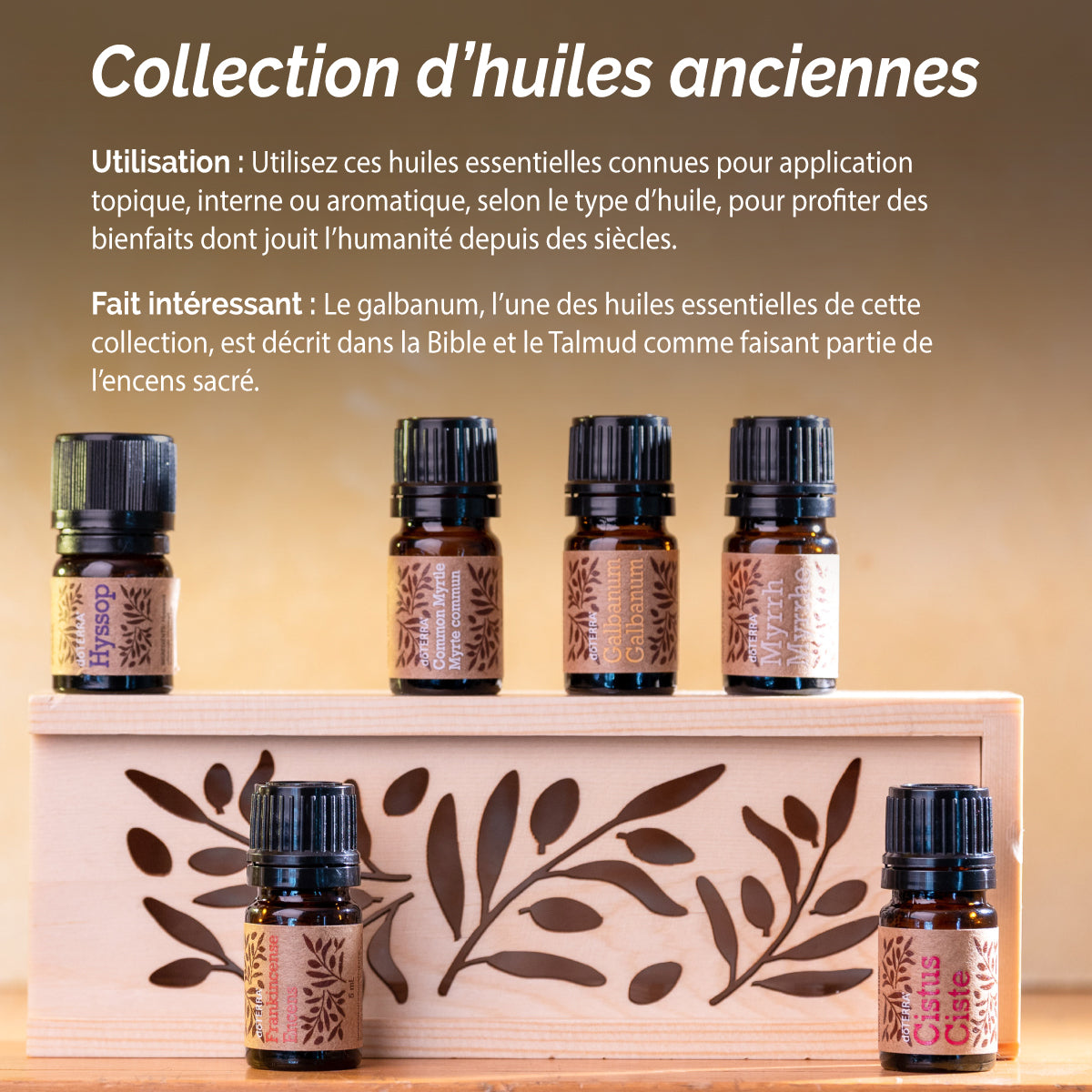 Les Huiles Essentielles Antiques