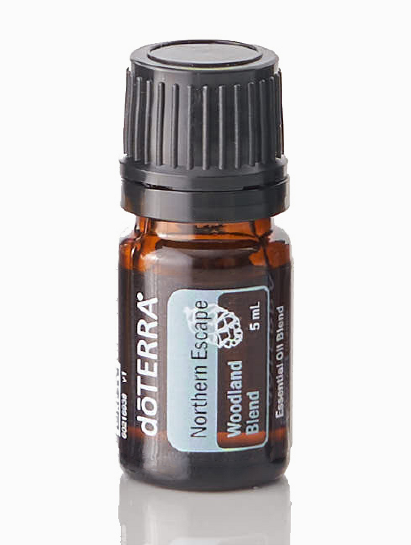 Mélange Northern Escape