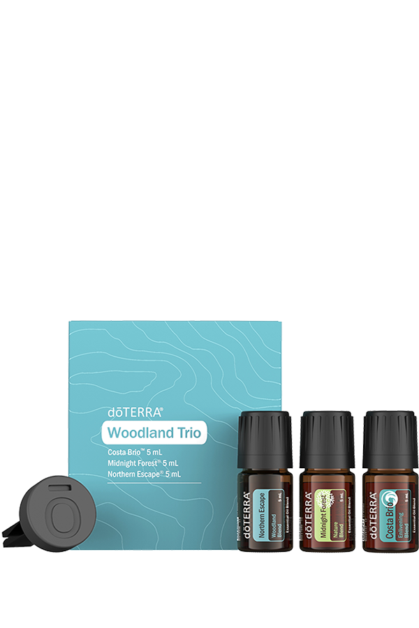 Coffret Woodland Trio doTERRA avec trois huiles essentielles de 5 mL — Costa Brio, Midnight Forest et Northern Escape — accompagné d’un petit diffuseur gris.