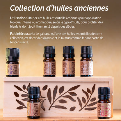 Les Huiles Essentielles Antiques