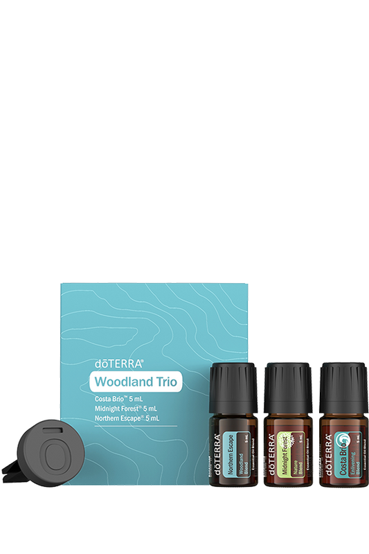 Coffret Woodland Trio doTERRA avec trois huiles essentielles de 5 mL — Costa Brio, Midnight Forest et Northern Escape — accompagné d’un petit diffuseur gris.