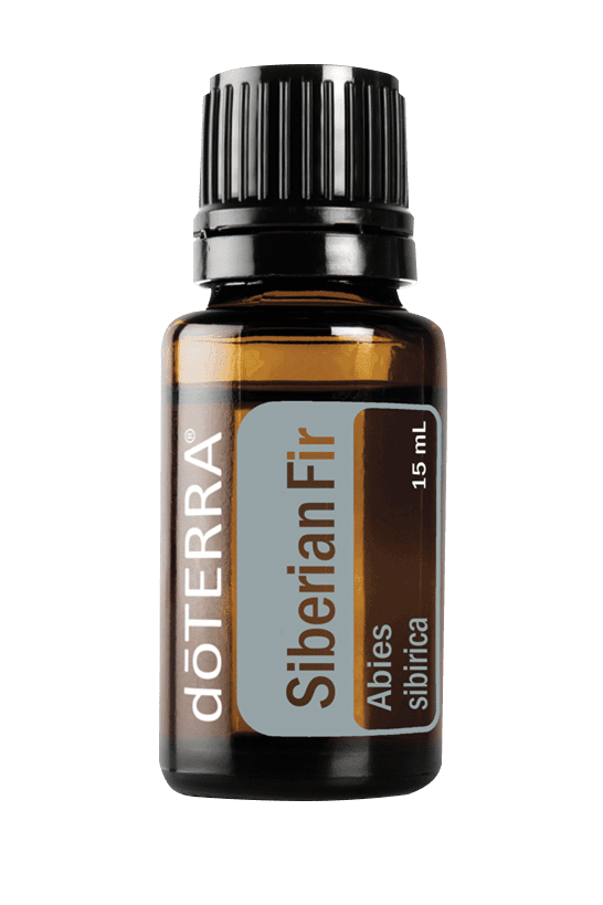 Bouteille de 15 ml d’huile essentielle Sapin de Sibérie doTERRA, flacon ambré avec étiquette gris bleuté et bouchon noir.