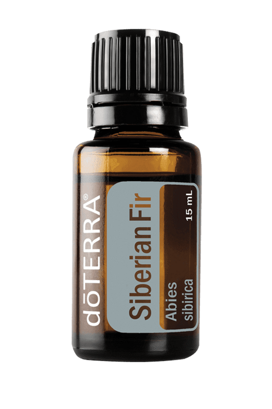 Bouteille de 15 ml d’huile essentielle Sapin de Sibérie doTERRA, flacon ambré avec étiquette gris bleuté et bouchon noir.